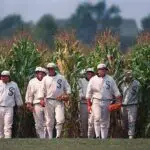 Field of Dreams: A Movie That Captivates Your Heart and Soul